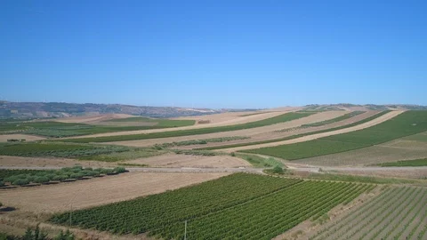 Vineyards pt. 2/4 Stock Footage 93848807