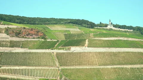 Vineyards on the River Rhine Stock Footage 67857887