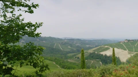Vineyards seen from a mountain top Stock-Footage 102203365