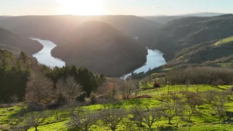 Vineyards on the slope of a river Stock Footage 313272865