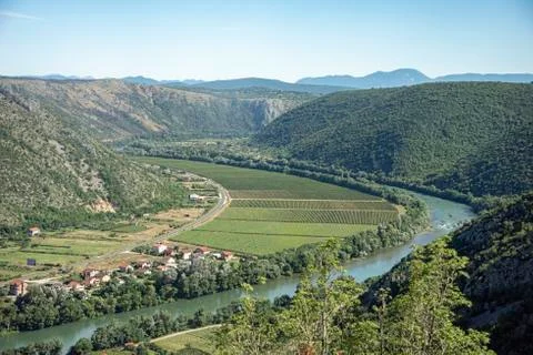 Vineyards stretch as far as the eye can see Stock Photos