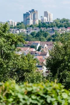 Vineyards in Stuttgart Stock Photos