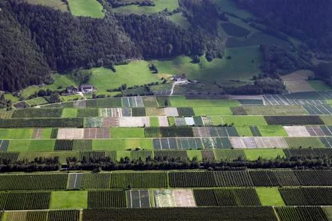 Vineyards valley Stock Photos