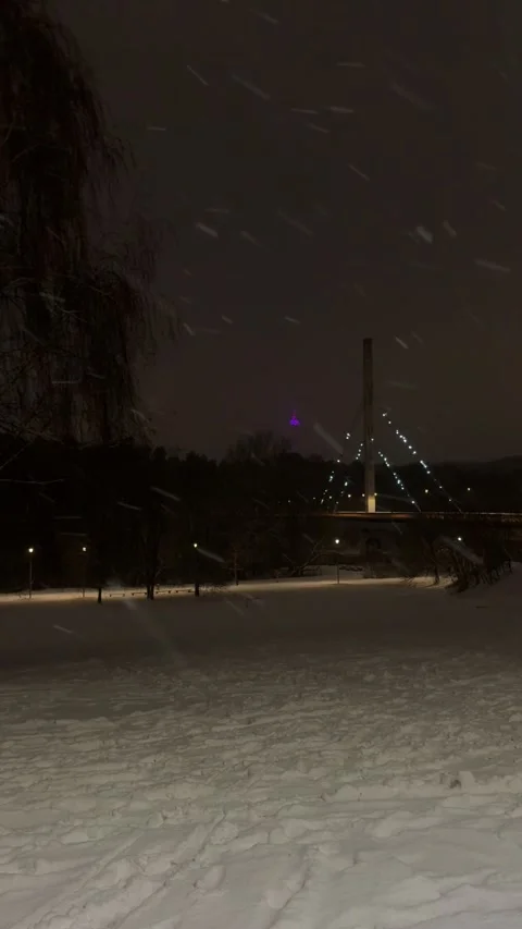 Vingio park bridge with illumination and TV tower in Vilnius. Vertical Stock Footage 258783530
