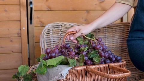 Vino16 Video stock 117466397