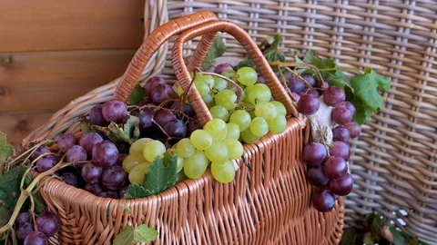 Vino3 Stock Footage 117468442