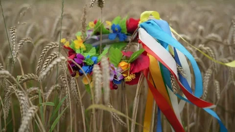 Vinok Stock Footage 281576619