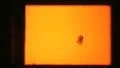 Vintage 8mm blank Film Leader Texture - framed HD Footage