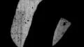 Vintage 8mm blank Film Leader Texture HD Footage