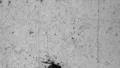 Vintage 8mm blank Film Leader Texture HD Footage