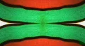Vintage 8mm Film - Psychedelic Transition 21v.4 HD Footage