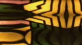 Vintage 8mm Film - Psychedelic Transition 22 V.2 HD Footage