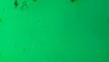 Vintage 8mm Film - Psychedelic Transition 15 HD Footage