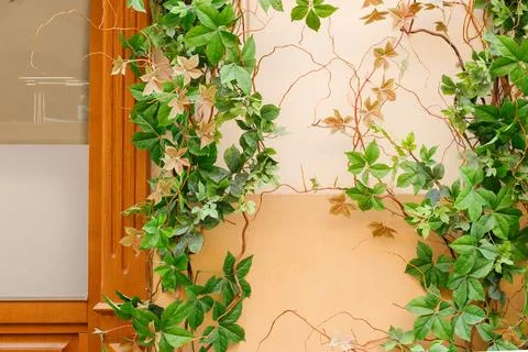Vintage aged wall background spring style windows frame pattern and curly p.. Stock Photos