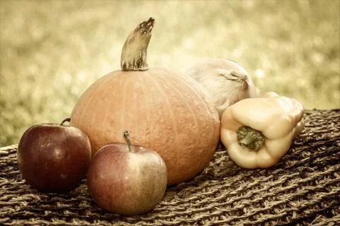 Vintage autumn vegetables Stock Photos