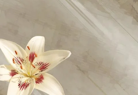 Vintage background Stock Illustration