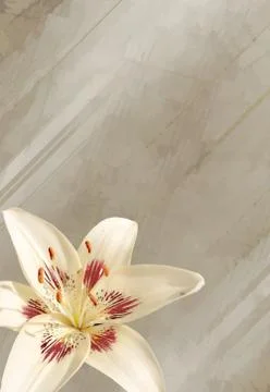 Vintage background Stock Illustration