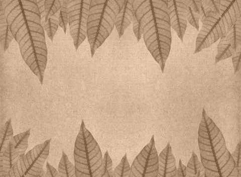 Vintage background image with leaf Stock Illustration
