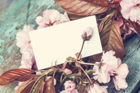 Vintage background with a note, copy space and Japanese cherry blossoms Stock Photos