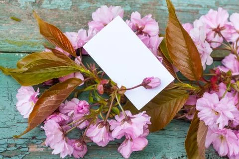 Vintage background with a note, copy space and Japanese cherry blossoms Stock Photos