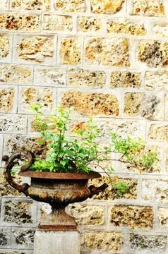 Vintage background Stock Photos