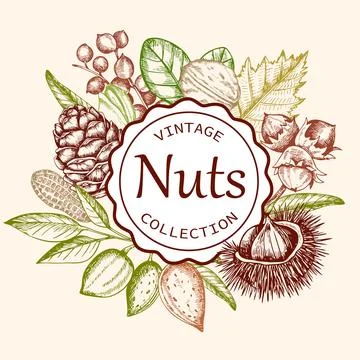 Vintage background with various nuts. Stock Illustration