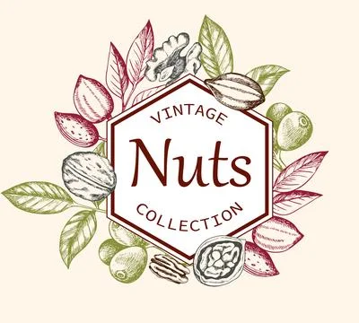Vintage background with various nuts. Stock Illustration
