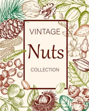 Vintage background with various nuts. Stock Illustration