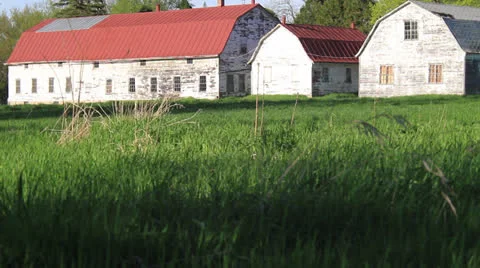 Vintage Barnyard WS Video stock 22824478