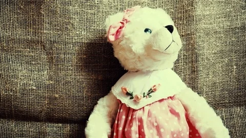 Vintage bear with a cup. Panoramic view. Stock Footage 74537156