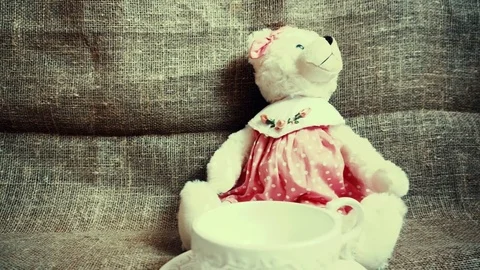 Vintage bear with a cup. Panoramic view. Stock Footage 74537162