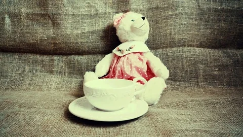 Vintage bear with a cup. Panoramic view. Stock Footage 74537175