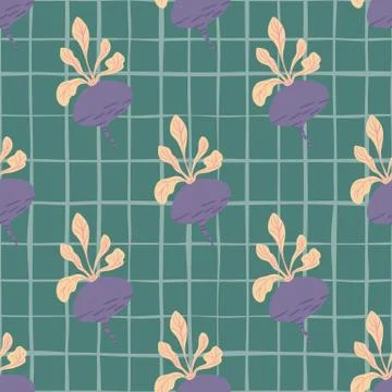 Vintage beetroot backdrop. Hand drawn beet seamless pattern background. 스톡 일러스트