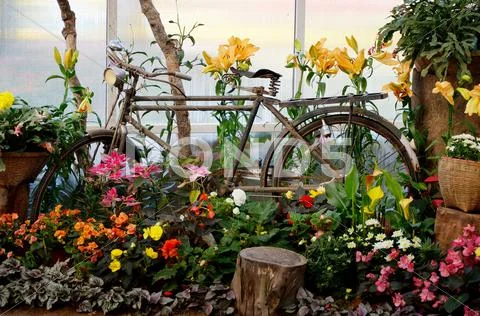 Vintage bicycle decorate in garden Stock Photos