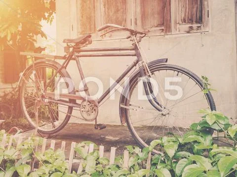 Vintage bicycle or old bicycle vintage park on old wall home. Stock Photos