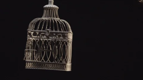 Vintage bird cage swinging in slow motion 스톡 동영상 103558053