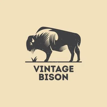 Vintage Bison Stock Illustration