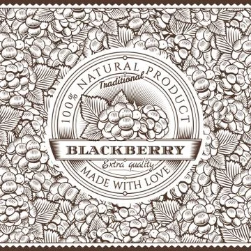 Vintage Blackberry Label On Seamless Pattern Stock Illustration
