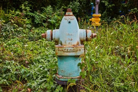 Vintage Blue Fire Hydrant with Rust and Verdigris, Surrounded by Greenery Foto stock