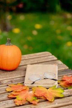 Vintage book and pumpkin with maple leaves on a table in a garden Stock Photos