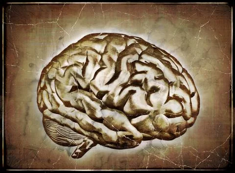Vintage Brain Stock Illustration
