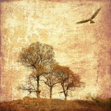 Vintage branch of trees with flying predator Stock Illustration