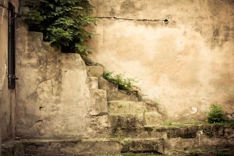 Vintage brick wall Fotos Stock