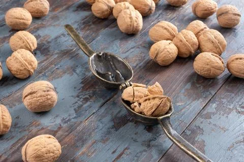 Vintage bronze nutcracker with a split nut inside and a scattering of beautif Stock Photos