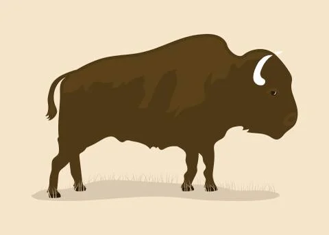 Vintage Buffalo Stock Illustration