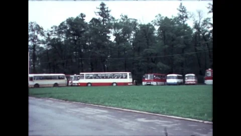Vintage Buses in Park Stock Footage 278350510