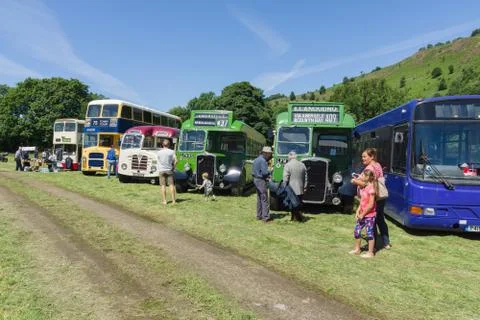 Vintage Buses Stock Photos