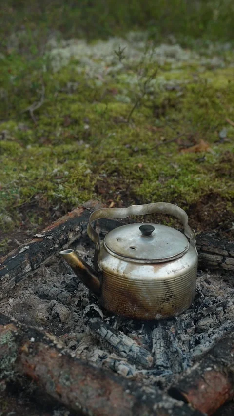 A vintage camp kettle is boiling over the coals of the fire. Making tea while Vidéo 310319129