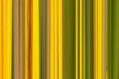 Vintage canvas background wide stripes yellow green vertical gradient pattern Stock Illustration