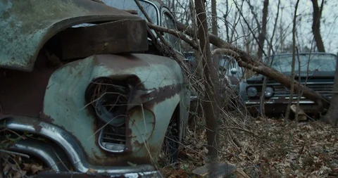 Vintage Car Graveyard with Trees Growing Around them Stock Footage 128328685